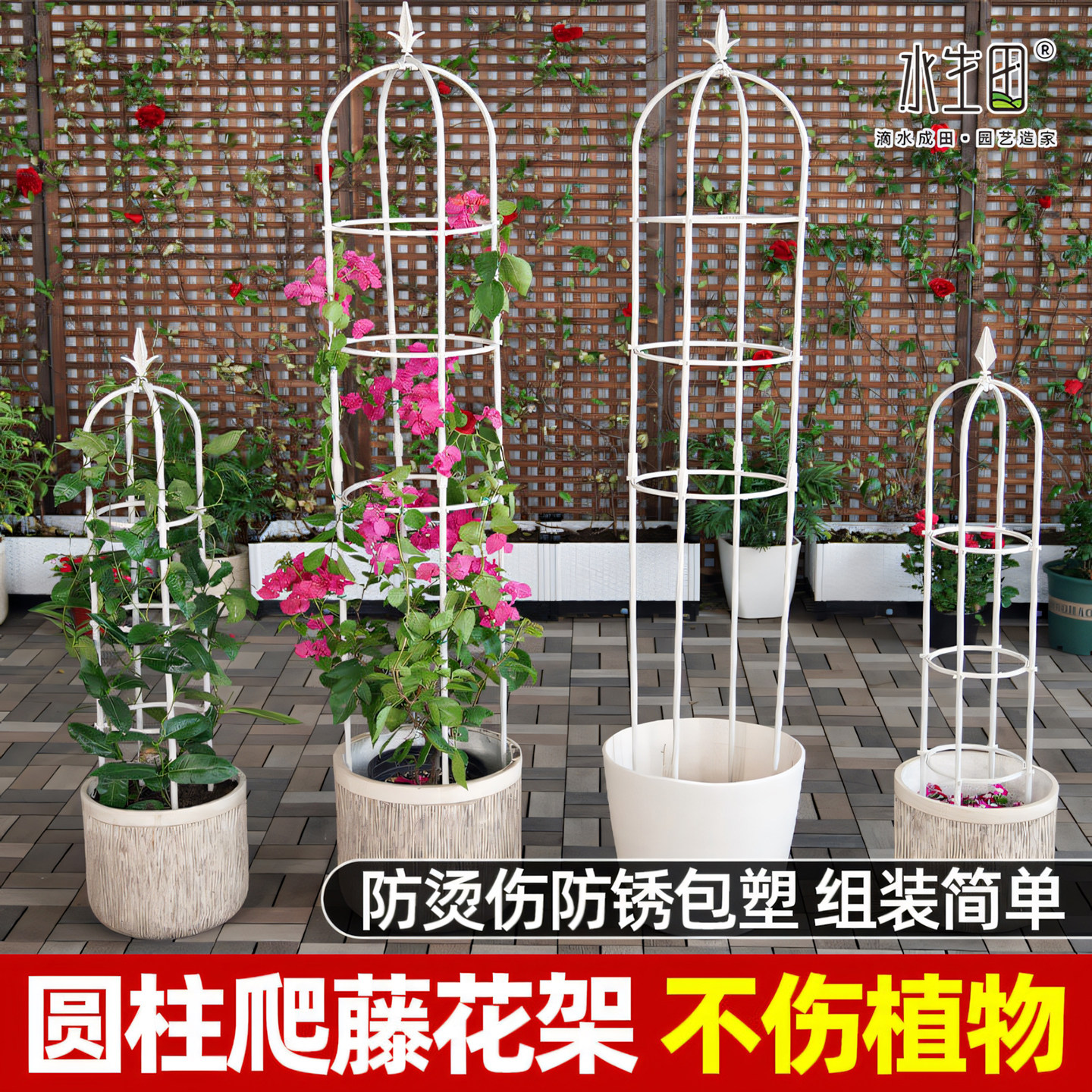 水生田花架爬藤架户外支撑架图片