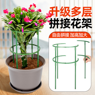 蟹爪兰花架爬藤架专用支架托架杆兰花绿萝月季 支撑花盆栽攀爬拼接