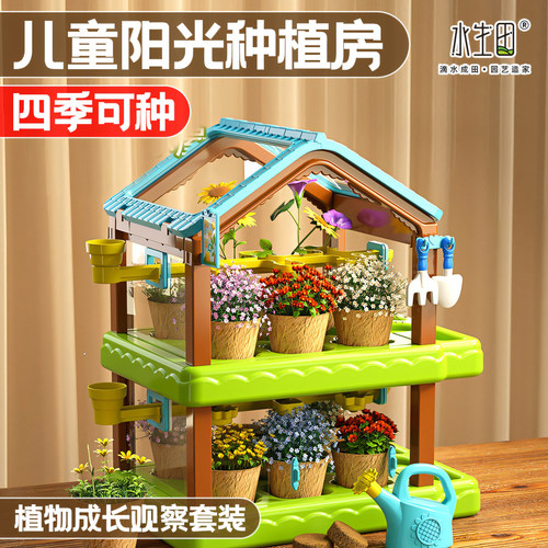 水生田苔藓微景观儿童迷你小盆栽