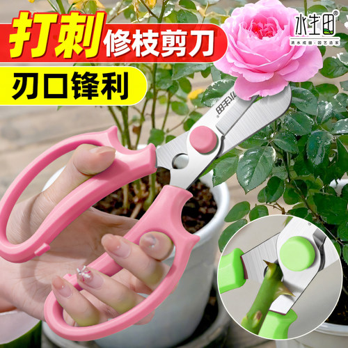 花艺剪刀修枝鲜花打刺园艺剪花剪
