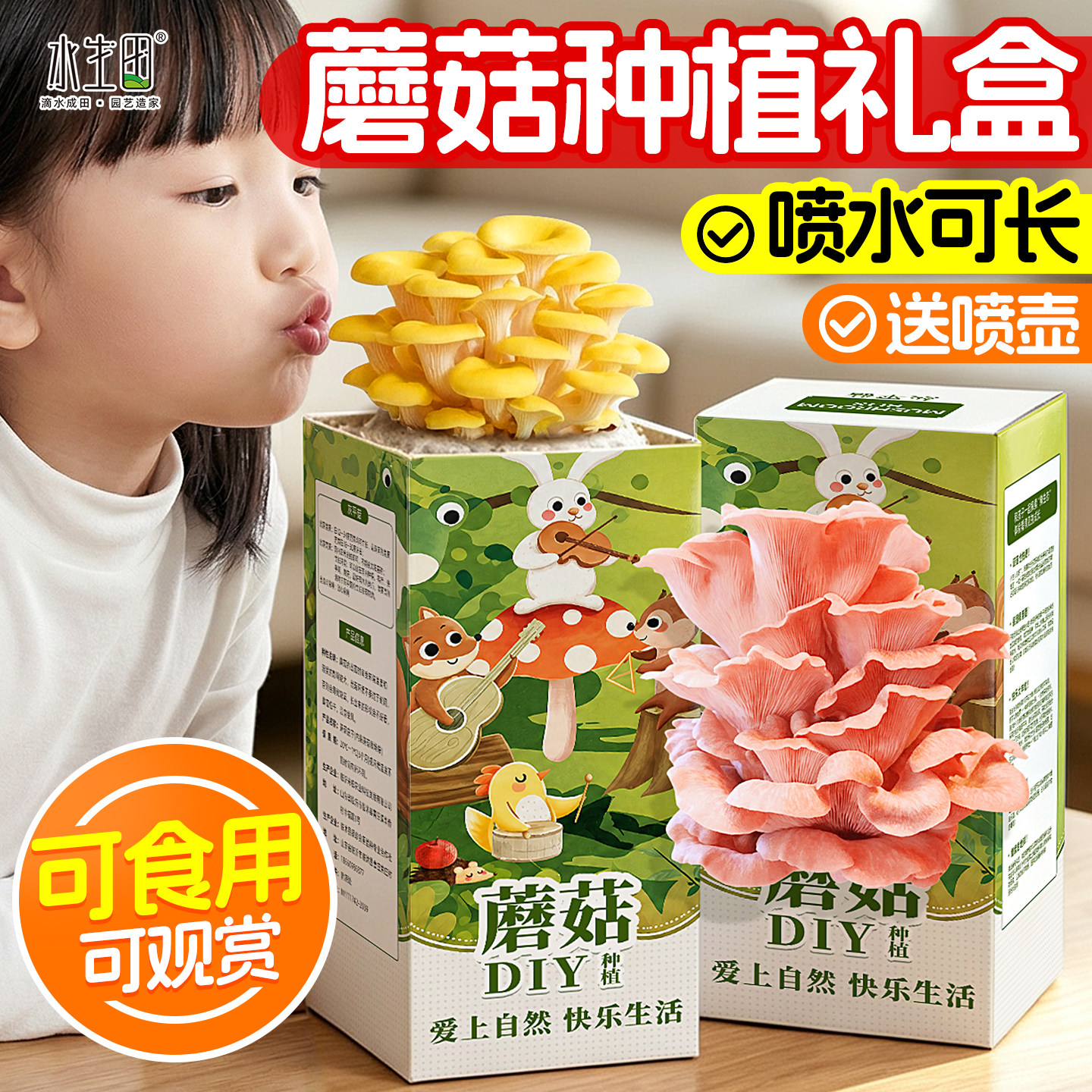 水生田简单种植蘑菇种植包可食用图片