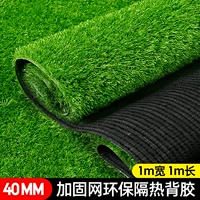 [Извлечение 特 [[[] 40 -миллиметровая пружинная трава (шириной 1 м*1 м) 1 розыгрыш/изоляция окружающей среды.