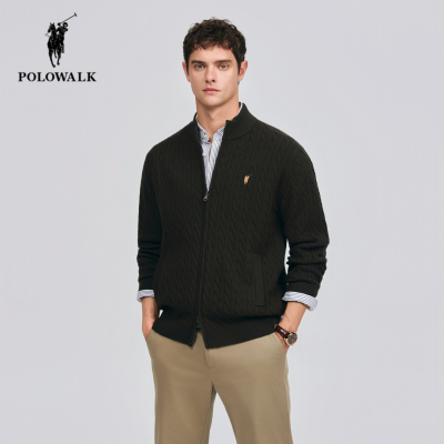 POLOWALK春季新品半高领针织衫男