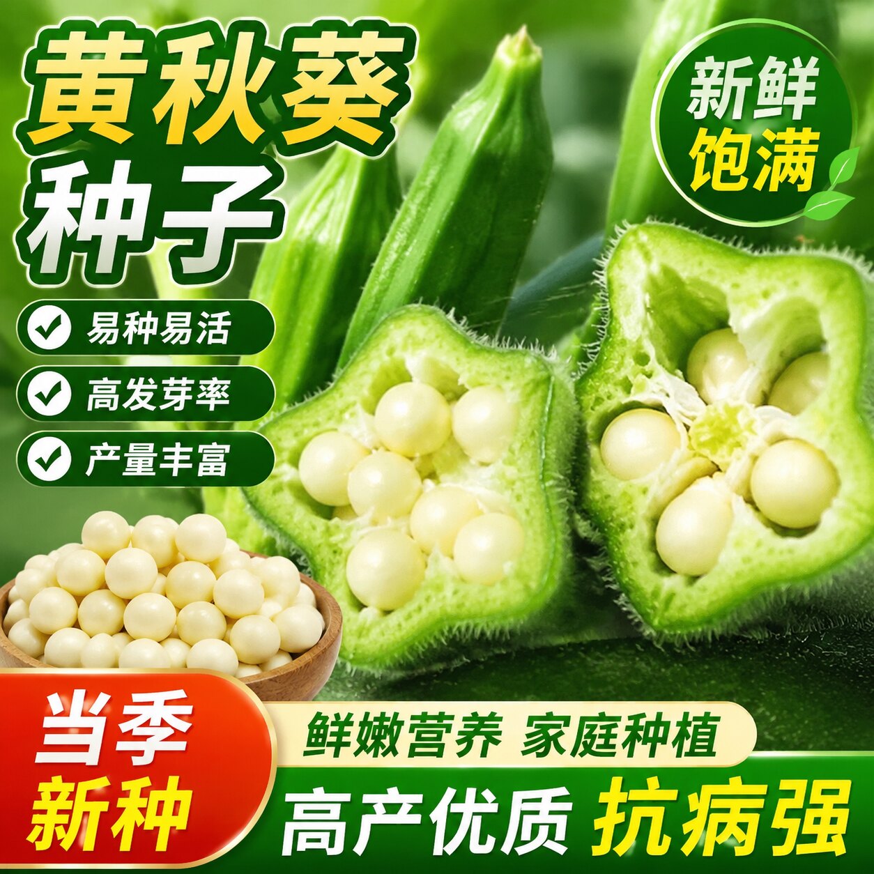【秋葵种子】绿秋葵种籽四季播高产黄秋葵籽农家阳台庭院蔬菜种子