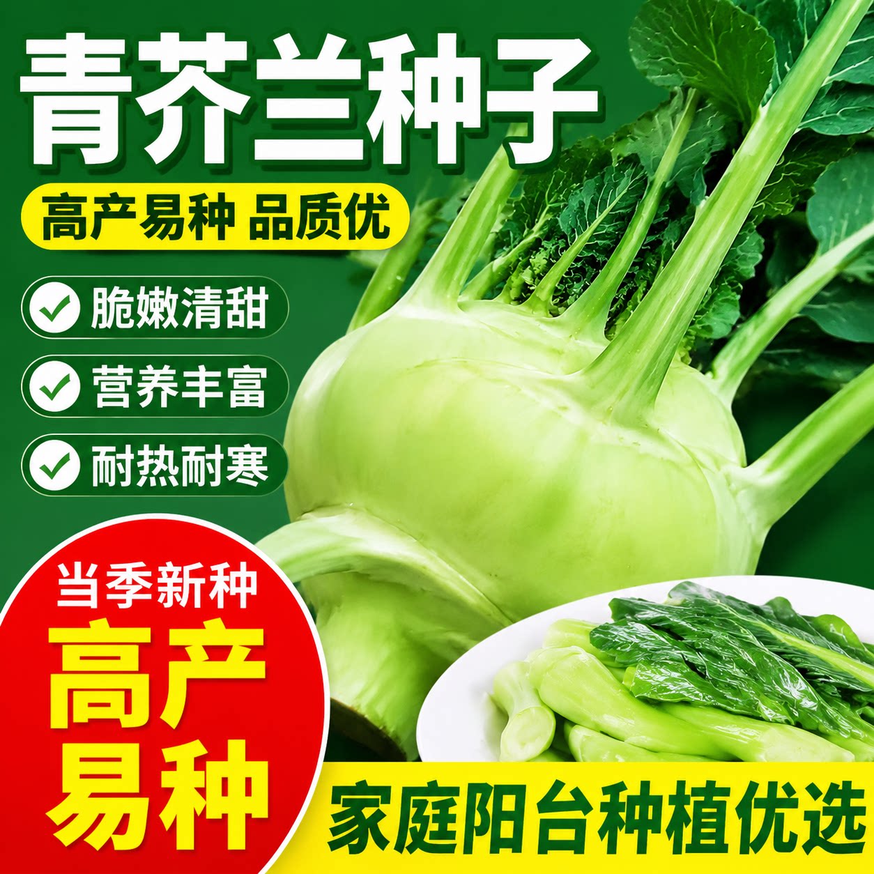 青苤蓝种孑天津特菜水果绿苤蓝菜籽芥兰头芥菜种种子春秋蔬菜种籽