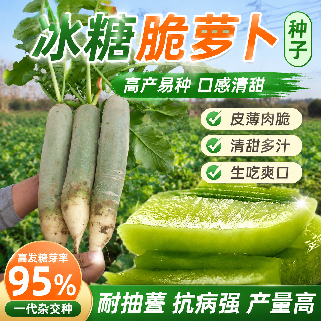 冰糖水果萝卜种子生吃脆甜农家蔬菜种四季播种阳台盆栽绿萝卜种籽