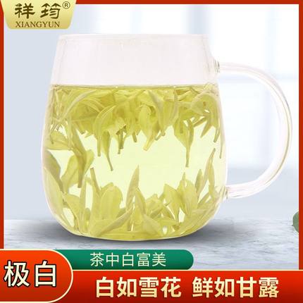 【极白】黄金芽特级兰花香鲜爽安吉白茶厂高山2025年新茶春茶茶叶