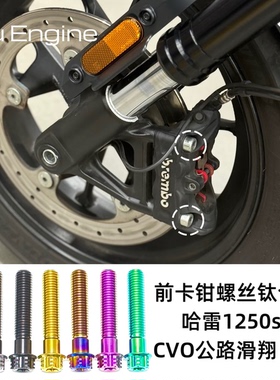哈雷1250ss/Sportster S/ CVO公路滑翔ST/前刹车卡钳螺丝钛合金