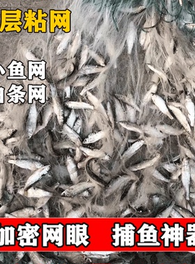 小渔网粘网三层白条网捕鱼网浮网沉网50米100米长渔网餐条网1指网