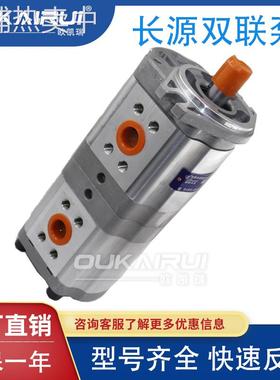 合肥长源液压HCHC单联双联泵三联泵齿轮泵CBTL/QT/QL/KP/KL/WL/WQ