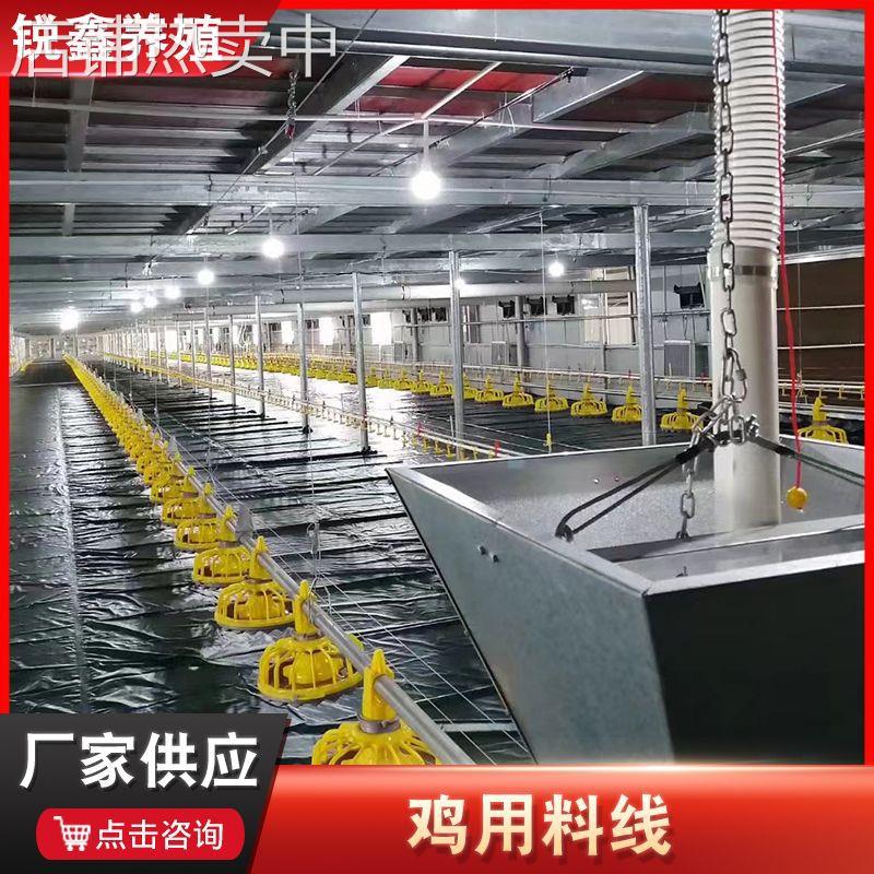 全自动喂水喂料鸡鸭舍料盘鸡用料线 平养投料养鸡设备 鸡用料线