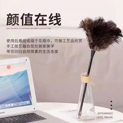 静电真鸵鸟毛掸子家用除尘不v掉毛车用清洁扫灰加厚鸡毛掸打扫卫