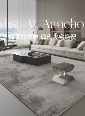 地毯客厅a2024新款轻奢高级感现代简约灰色北欧意式极简侘寂沙发