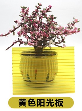 黄色橙色PC阳光j板婚庆中空心板蜂窝板双层4/6mm彩色道具装饰隔断