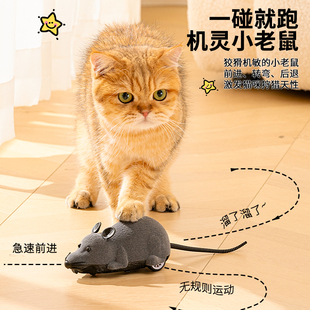 猫玩具老鼠无线遥控逗猫老鼠猫咪旋转电动仿真老鼠猫猫 自嗨玩具
