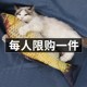 猫玩具鱼仿真磨牙逗猫棒小老鼠猫猫自嗨逗猫激光啃咬薄荷猫咪用品