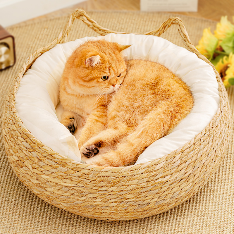 四季通用猫咪睡觉用垫子夏天猫抓