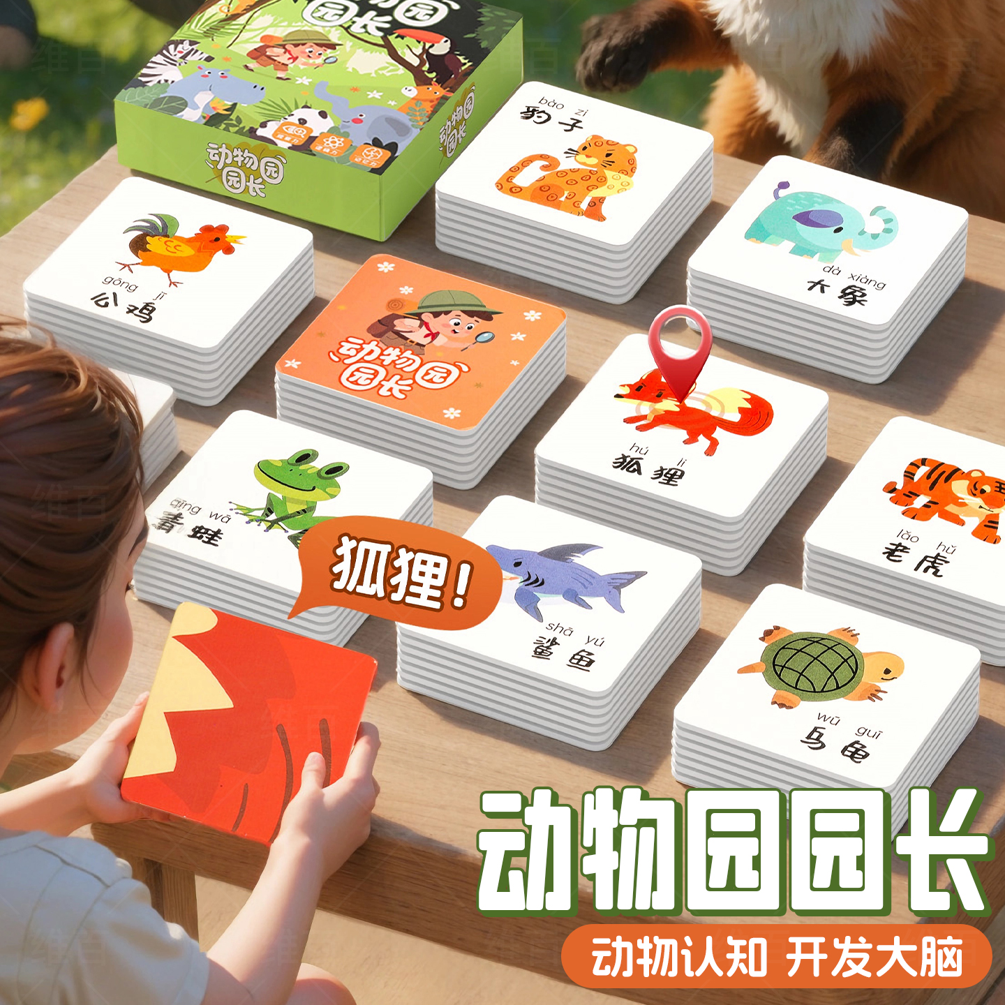 动物园园长儿童桌游益智玩具