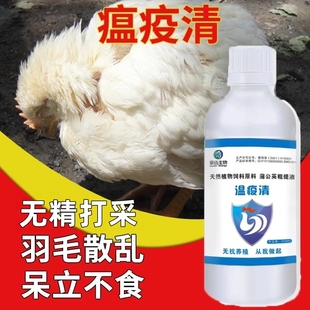 瘟疫清鸡鸭鹅鸽家禽用无精打采呆立不食呼噜闭眼翅膀下垂羽毛散乱