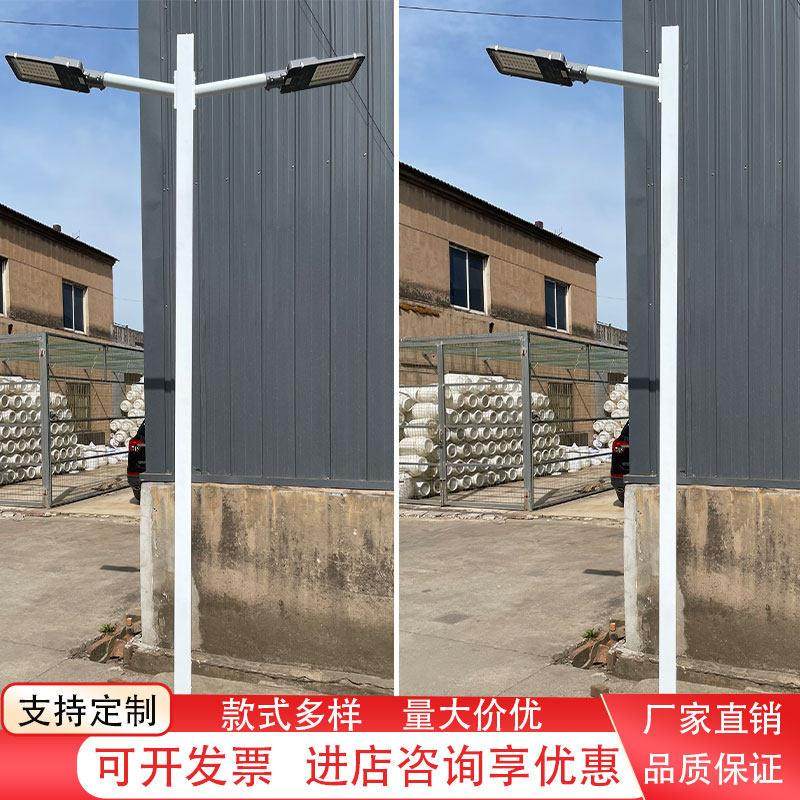 LED路灯户外杆新农村道路照明高杆灯4米庭院社区停车场双头路灯