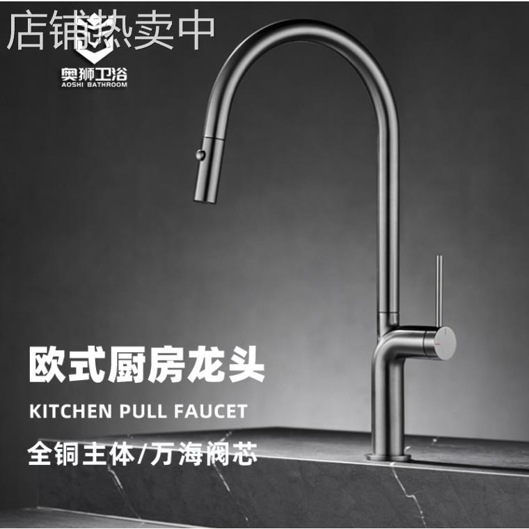 跨境欧式全铜抽拉式厨房龙头菜盆水槽多模式出水冷热水龙头