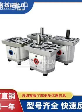 齿轮液压油泵总成CBT-F310 CBN-F304/F306/F316/E314/320/325FER2