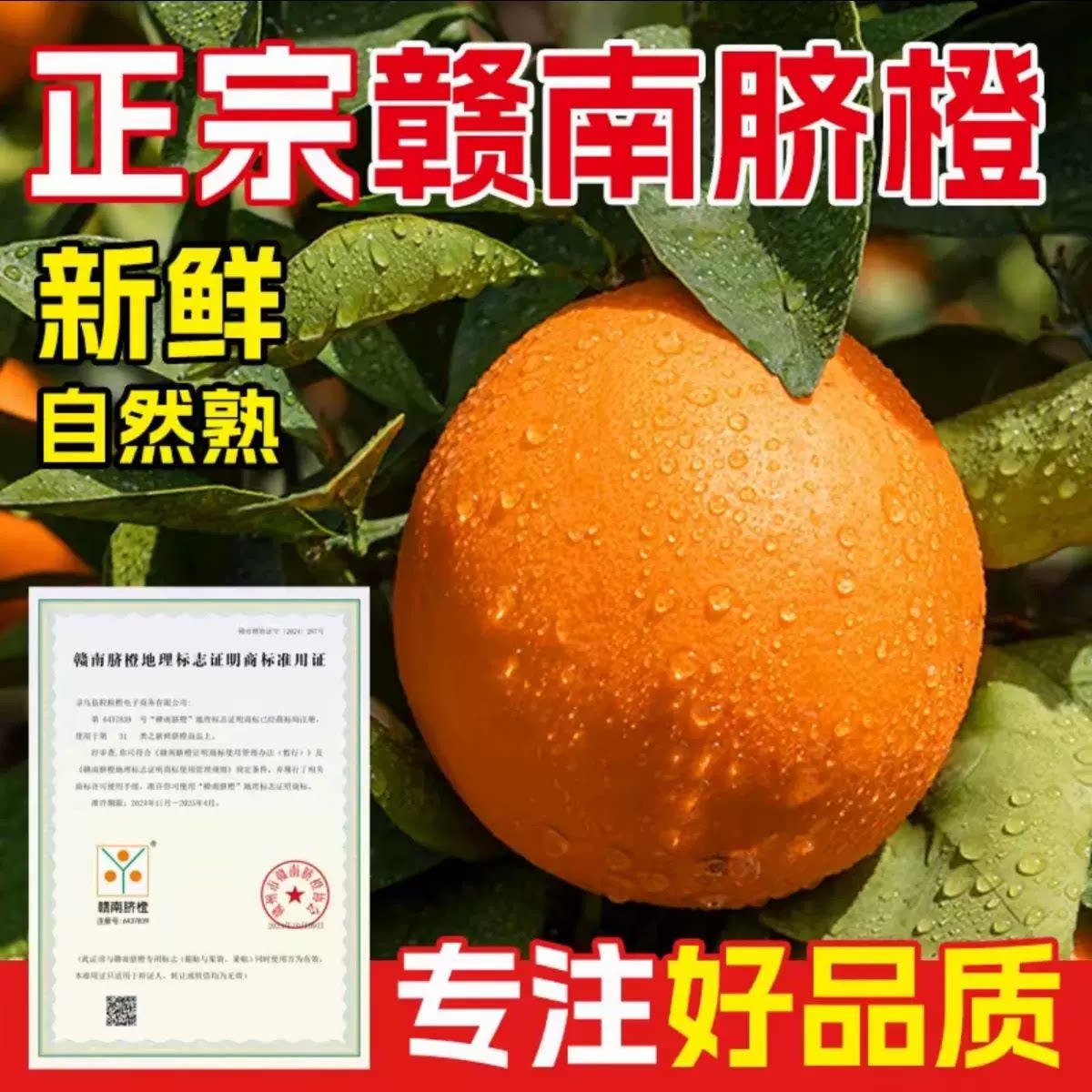 江西赣南脐橙正常储存补充vc水分