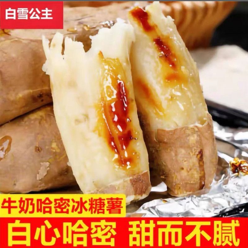 正宗的天目山小香署个头不大软糯