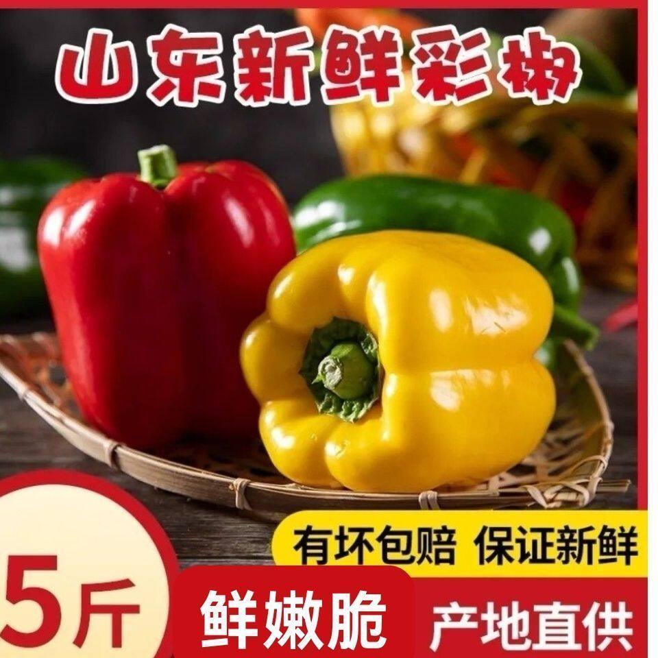 新鲜彩椒五彩灯笼甜椒5斤七彩辣椒生吃蔬菜太空青椒寿光山东包邮