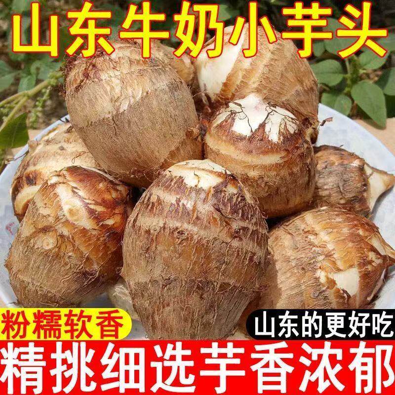 牛奶芋头自然生长个头均匀甜糯黏