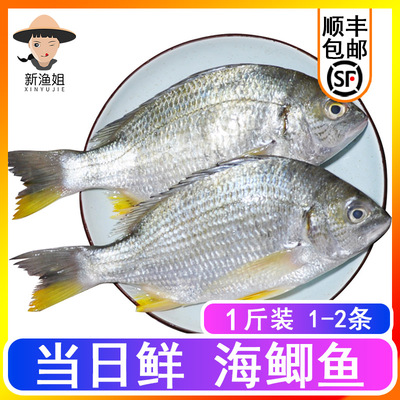 黄鲷优惠满减卷