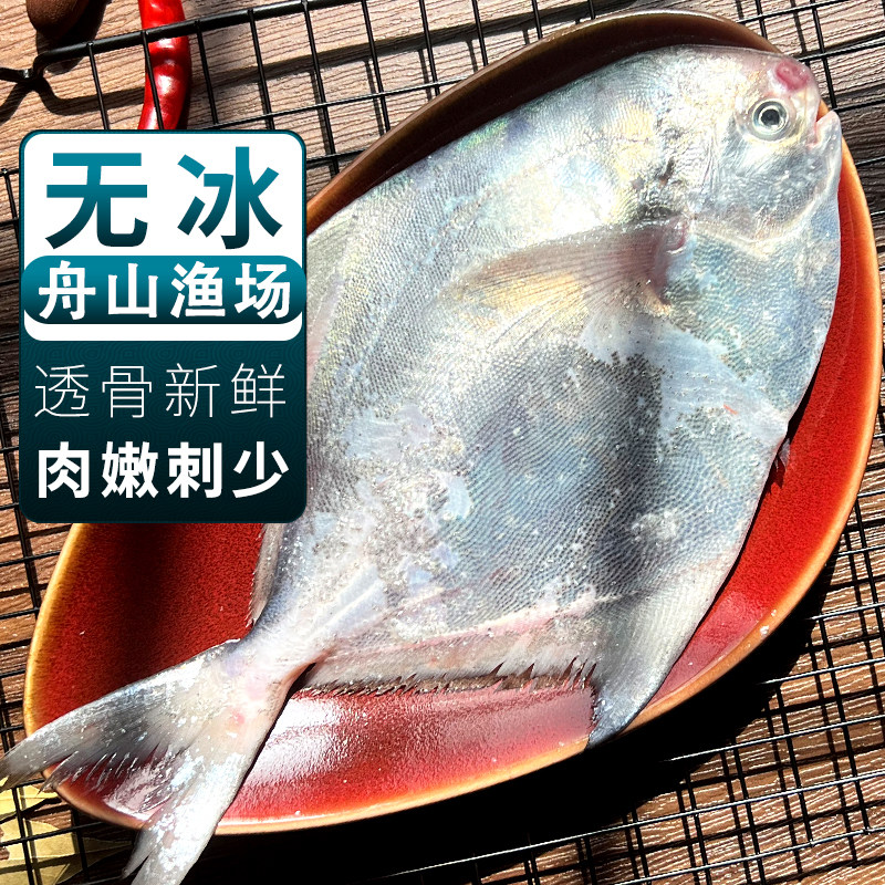 银鲳鱼新鲜冷冻象山海捕鲜活鲳鱼昌鱼白鱼平鱼鳊鱼海鲜水产非金鲳,水产肉类/新鲜蔬果/熟食,鲳鱼,淘宝优惠券,粉丝福利购,淘宝优惠卷