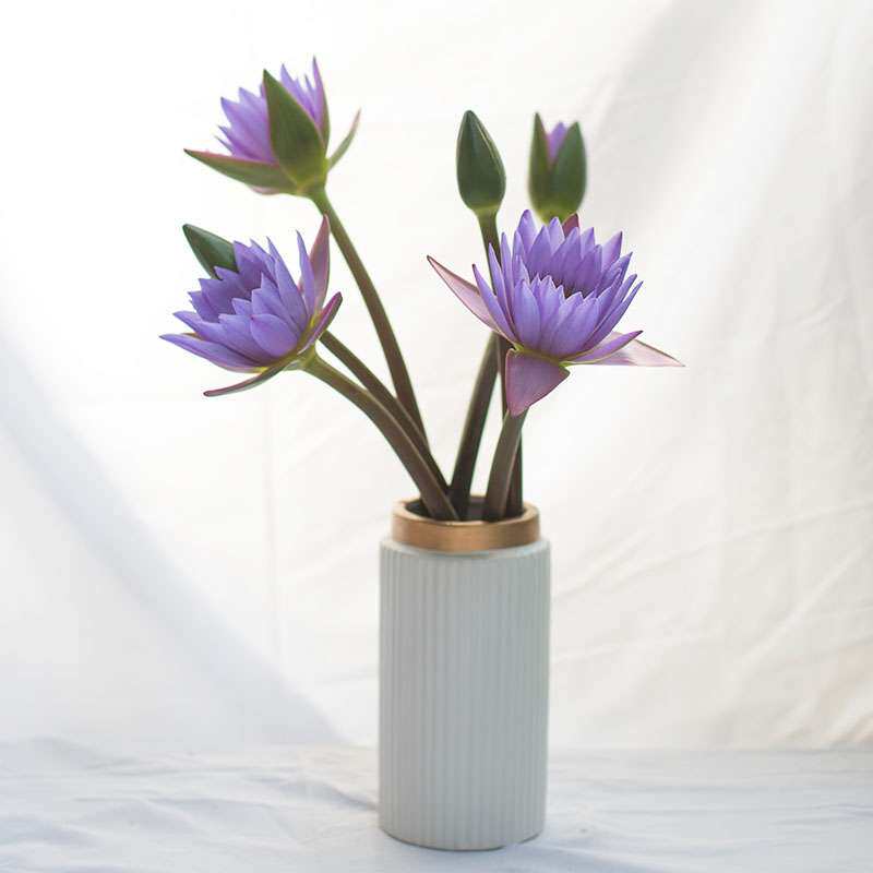 云南昆明斗南花市新鲜睡莲花直发母亲节办公室小花束节日|ruв категории доставка цветов/цветок моделирования/растения садоводства, доставка цветов (город) - от Buy2taobao.com для оказания профессиональной услуги покупки агента Taobao