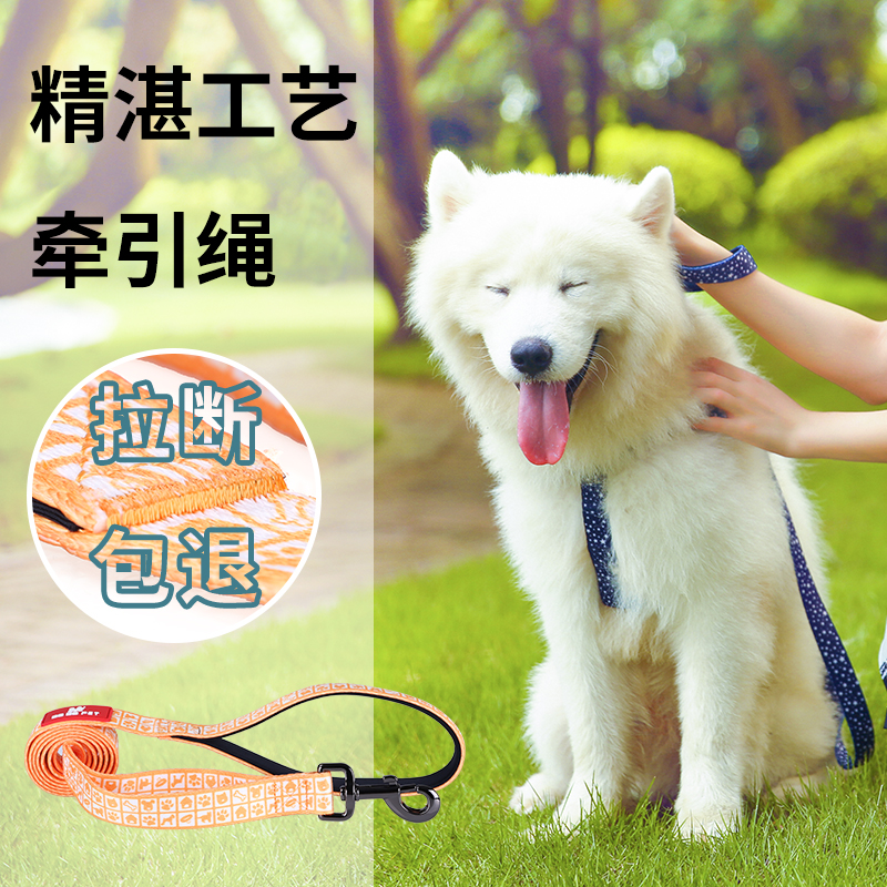 DODOPET宠物遛狗牵引绳中大型犬