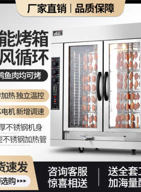 粤华大型烤鸭炉烤鸡腿鸡翅电热立式烤红薯机烤肠机热风循环
