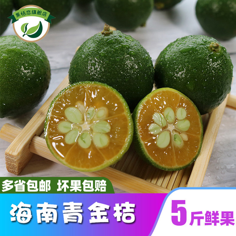 海南小金桔酸青金橘檸檬薄皮小青金桔壹級果金桔新鮮多汁5斤包郵在類目 水產肉類/新鮮蔬果/熟食, 新鮮水果, 檸檬中 - 來自Buy2taobao.com提供專業的淘寶代購服務