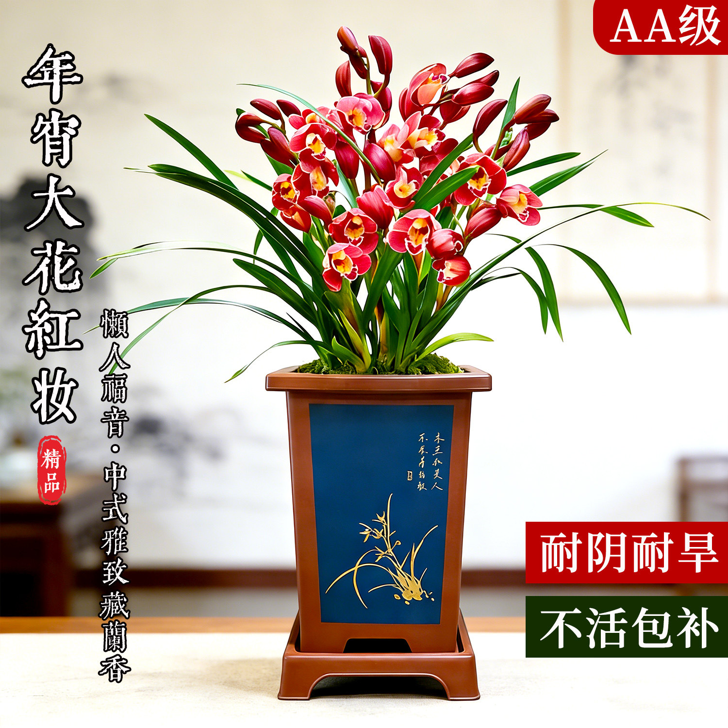 墨兰红妆浓香带苞年宵盆栽