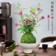 带花苞四季 兰迷你超微型月季 苔藓球阳台净化空气办公桌面绿花卉