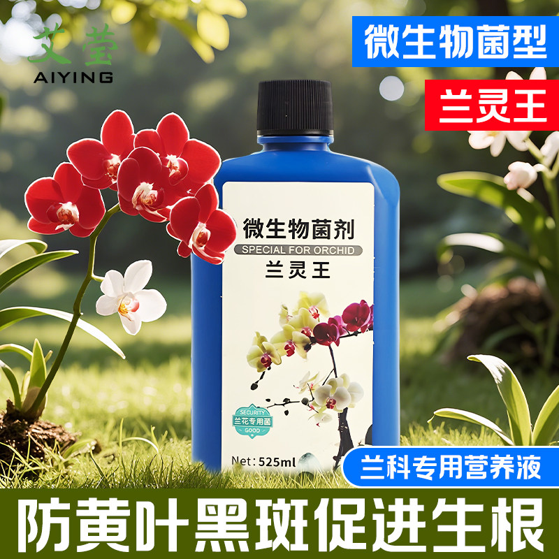 兰灵王兰花专用肥营养液图片