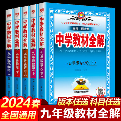 2024中学教材全解九年级下册