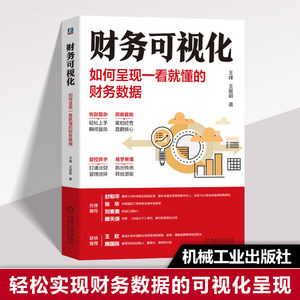 【当当网正版书籍】财务可视化：如何呈现一看就懂的财务数据 王峰王丽君 普华永道在用的财务可视化分析工具方法 机械工业出版社
