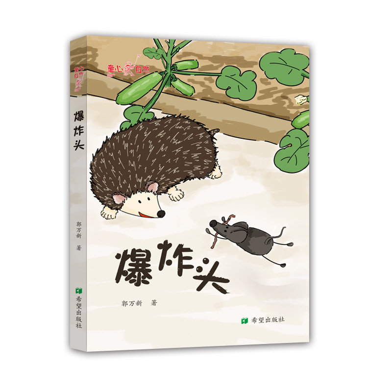 我的38天——一只蜜蜂的日记