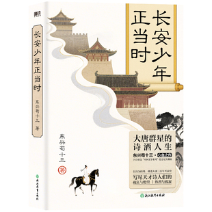 600万诗词爱好者含泪催更 东兴苟十三心血作品 深度解读400 唐诗 长安少年正当时 首经典 讲透大唐三百年兴衰史 当当网直营