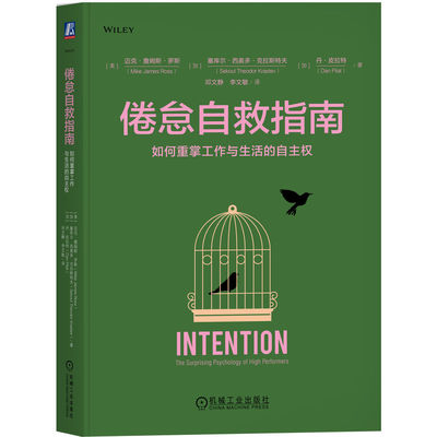 倦怠自救指南：如何重掌工作与生活的自主权      [美]迈克·詹姆斯·罗斯      [加]塞库尔·西奥多·克拉     [加]丹·皮拉特