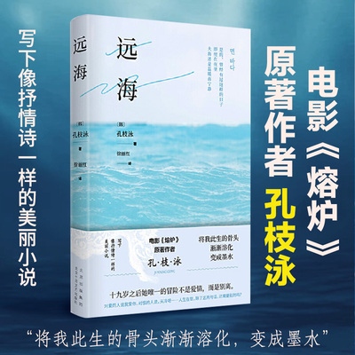 【当当网正版书籍】远海 电影《熔炉》原著作者 孔枝泳 “将我此生的骨头渐渐溶化，变成墨水” 写下像抒情诗一样的美丽小说