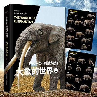 PNSO动物博物馆：大象的世界1（震撼人心的动物科普，科学与艺术的融合）