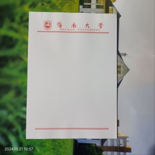 海南大学方格稿纸 海大抬头信纸信笺草稿纸作业纸 海大信纸稿纸