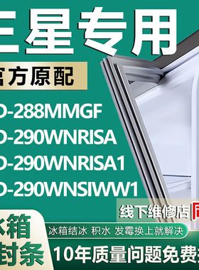 适用三星BCD288MMGF 290WNRISA 290WNRISA1 290WNSIWW1冰箱密封条