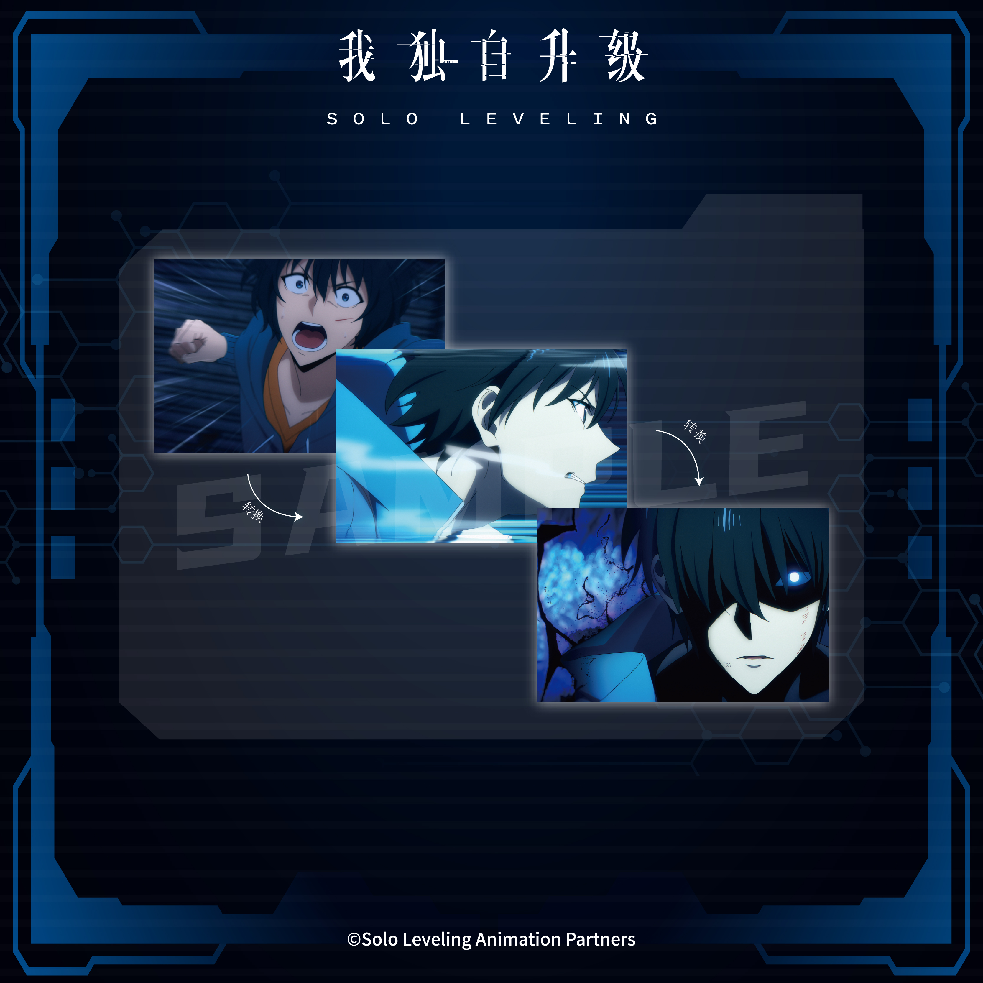 ANIPLEX我独自升级光栅卡