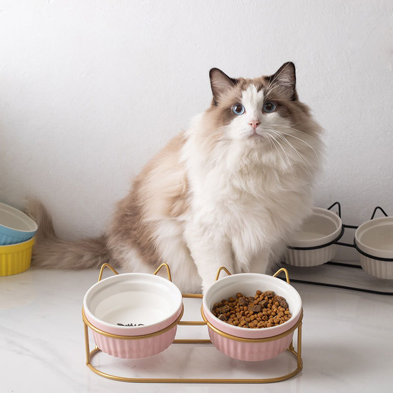 宠物碗矮脚猫幼猫陶瓷猫盆粮食水盆猫碗色釉碗宠物用品饮水碗双碗